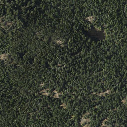Satellite imagery of Mount Grant, CA