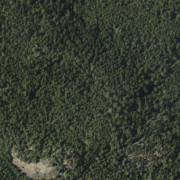 Satellite imagery of Mount Grant, CA