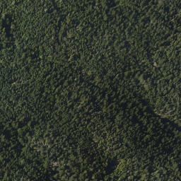 Satellite imagery of Mount Grant, CA