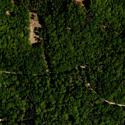 Satellite imagery of Seinsheimer Katzenzipfel, DE