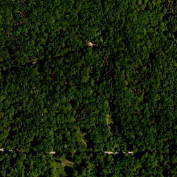 Satellite imagery of Seinsheimer Katzenzipfel, DE