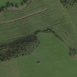 Satellite imagery of Borky [Cetyně], CZ