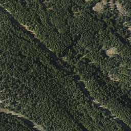 Satellite imagery of Mount Grant, CA