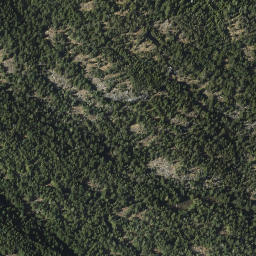 Satellite imagery of Mount Grant, CA