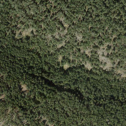 Satellite imagery of Cecil Hill, CA