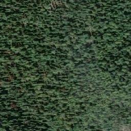 Satellite imagery of Perry Ridge, CA
