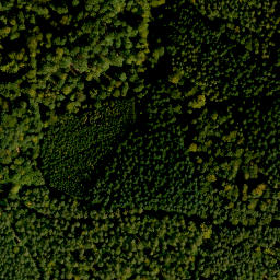 Satellite imagery of Dörnbachshöhe, DE