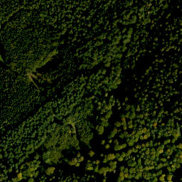 Satellite imagery of Dörnbachshöhe, DE