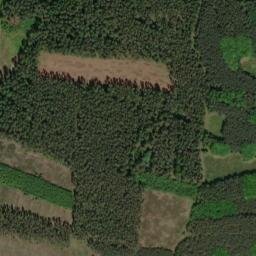 Satellite imagery of Semněvický les [Semněvice], CZ