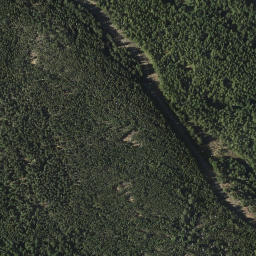 Satellite imagery of Mount Grant, CA