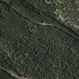 Satellite imagery of Mount Grant, CA