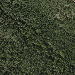 Satellite imagery of Cecil Hill, CA