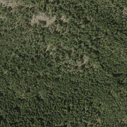 Satellite imagery of Cecil Hill, CA