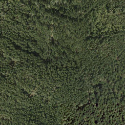 Satellite imagery of Cecil Hill, CA