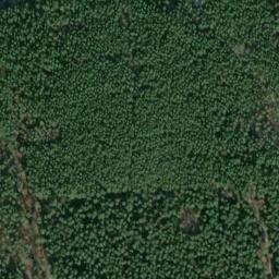 Satellite imagery of Buchranken, DE