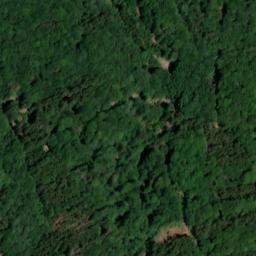 Satellite imagery of Großer Homerich, DE
