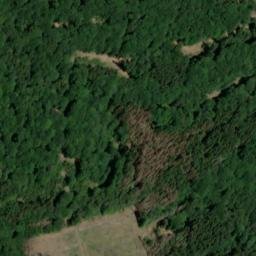 Satellite imagery of Großer Homerich, DE