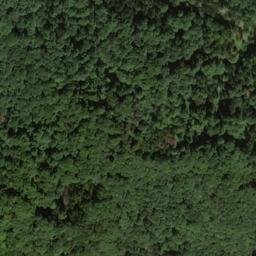 Satellite imagery of Steinberg, DE