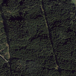 Satellite imagery of 12/6, DE