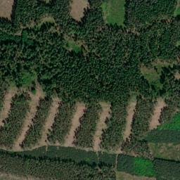 Satellite imagery of Rybniční vrch [Mířkov], CZ