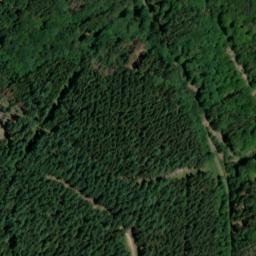 Satellite imagery of Großer Homerich, DE