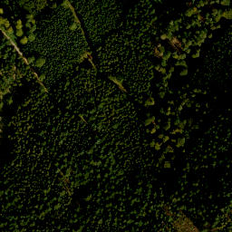 Satellite imagery of Finkenbuschkopf, DE