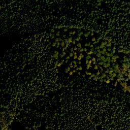 Satellite imagery of Finkenbuschkopf, DE