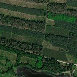 Satellite imagery of Rybniční vrch [Mířkov], CZ