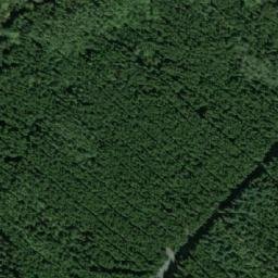 Satellite imagery of Na Skalách [Věšín], CZ
