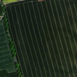 Satellite imagery of Žižkova mohyla [Žižkovo Pole], CZ