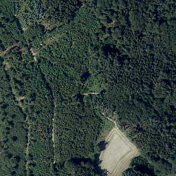 Satellite imagery of Tromm, DE