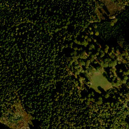 Satellite imagery of Finkenbuschkopf, DE