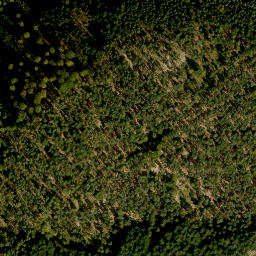 Satellite imagery of Finkenbuschkopf, DE