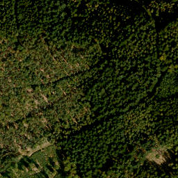 Satellite imagery of Finkenbuschkopf, DE