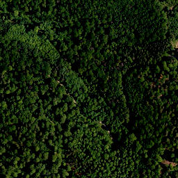 Satellite imagery of Hoher Landsberg, DE