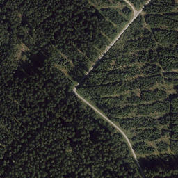 Satellite imagery of 12/11, DE