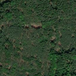 Satellite imagery of Trný, CZ