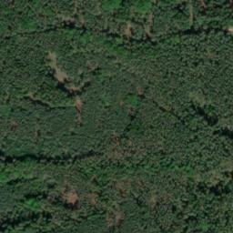 Satellite imagery of Trný, CZ