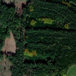 Satellite imagery of Kočihrady [Chyšná], CZ