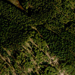 Satellite imagery of Finkenbuschkopf, DE