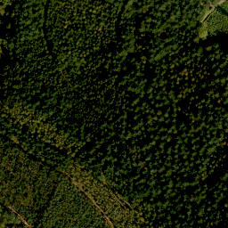 Satellite imagery of Finkenbuschkopf, DE