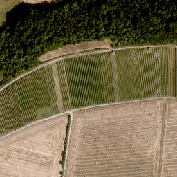 Satellite imagery of Altenberg, DE