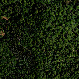 Satellite imagery of Hoher Landsberg, DE