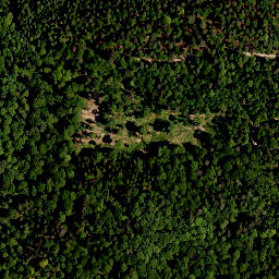 Satellite imagery of Hoher Landsberg, DE