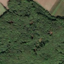 Satellite imagery of Spitzlberg, DE