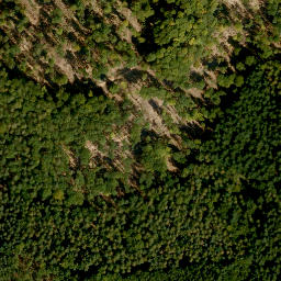 Satellite imagery of Geierskopf, DE
