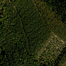 Satellite imagery of Geierskopf, DE