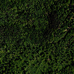 Satellite imagery of Hoher Landsberg, DE