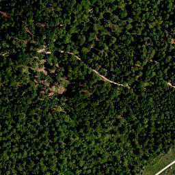 Satellite imagery of Hoher Landsberg, DE