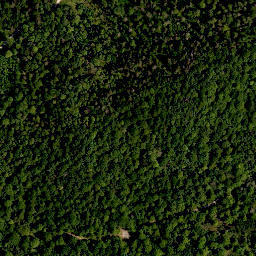 Satellite imagery of Heidebuck, DE